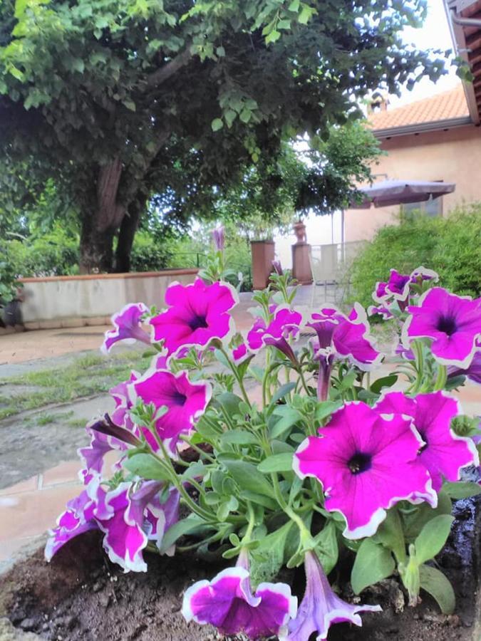 La Corte Di Bafe B&B "Slow Life" Zafferana Etnea Exteriör bild